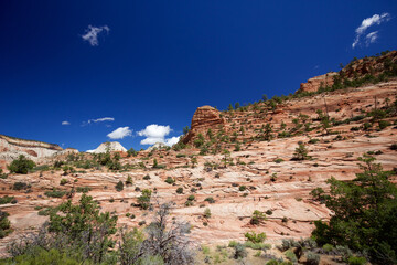 Fototapeta na wymiar Rocky landscape in Zion National Park, USA