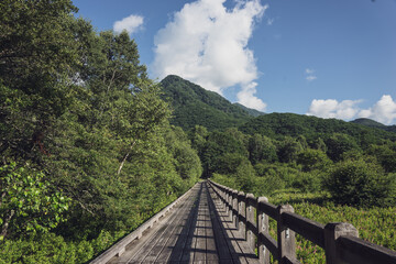 森　道