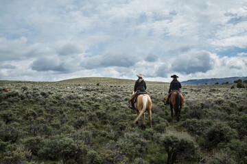 Cowgirl Ranchers Wyoming - obrazy, fototapety, plakaty