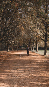 Wollaton Park