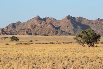 Beautiful landscape in Namibia