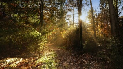 Herbstzeit