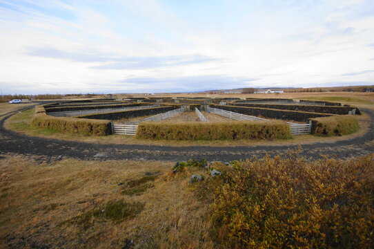 Sheepfold at Pjorsardalsvegur, Hella, Iceland