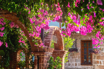 Fototapeta premium View of bougainvillea flowers in the streets of Kaleici, historical city center of Antalya, Turkey (Turkiye). Vibrant colors, scenis old street at summer day