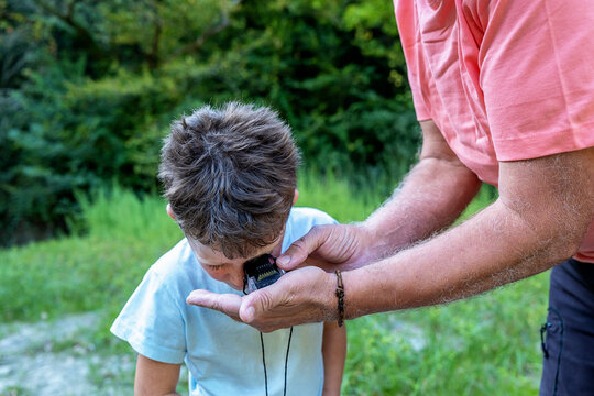 「昆虫 」の画像 2,679,056 件の Stock 写真、ベクターおよびビデオ Adobe Stock
