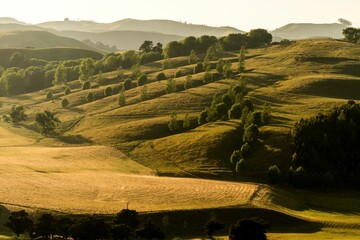 Obraz premium Beautiful shot of the Rolling hills in New Zealand on a sunny day
