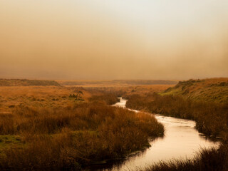 November in the Dartmoor National Park, Devon, England, UK.