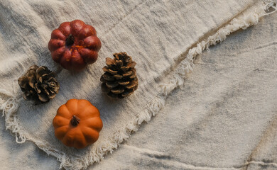 Top view of Thanksgiving decoration pumpkins and pinecones with copy space.