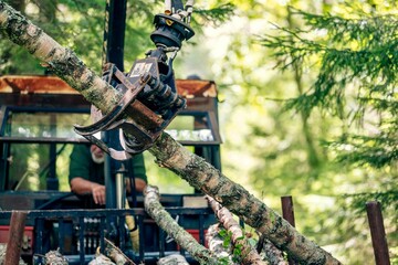 Selective focus of a timber lorry crane holding a wooden log in a forest