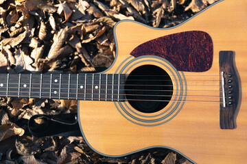 Acoustic guitar in the forest among dry autumn leaves.