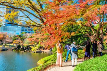 東京　秋の小石川後楽園
