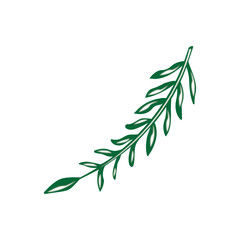 natural leaf icon design vector illustration