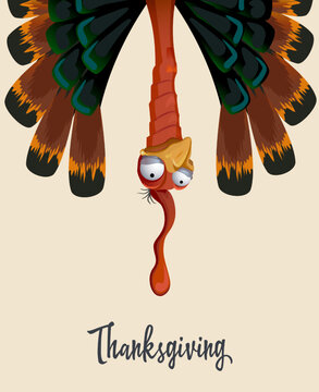 Naklejki Happy Thanksgiving greeting card with funny turkey with bright feathers and beautiful tail
