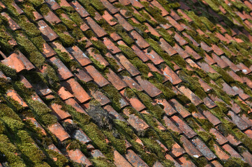 Old cracked tiled roof