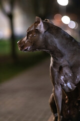 Portrait of a beautiful thoroughbred American Pibull Terrier on a bench at night in the city. There is artistic noise.