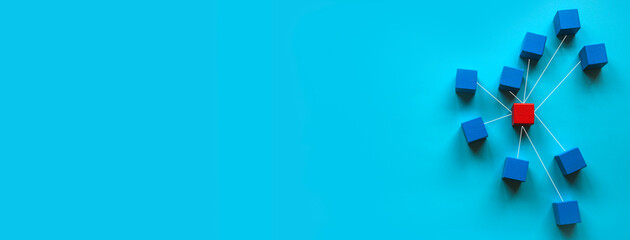 Management and leadership.Connectivity concept, Linking entities, Hierarchy and HR.