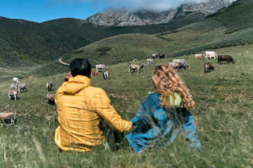 caucasian boy and girl sitting together on the grass of the field looking at the cows calmly holding hands on a sunny day in nature, ruta del cares asturias, spain