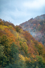Autumn multicolor foliage on trees. Autumn landscape in the mountains. Fog in the mountains in autumn. Travel in the mountains in autumn. Mountain hiking among the picturesque slopes.