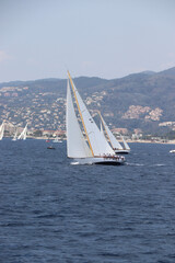 Fototapeta premium Cannes Classic Sailing Event