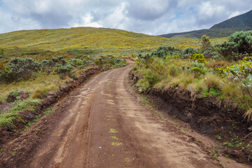 Fototapeta na wymiar A dirt road against a mountain background at Chogoria Route, Mount Kenya