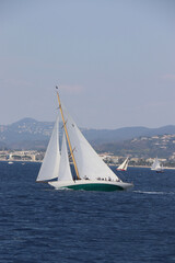 Fototapeta premium Cannes Classic Sailing Event