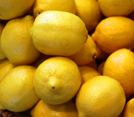 The lemon, Citrus limon is a species of small evergreen tree in the flowering plant family Rutaceae, native to Asia.