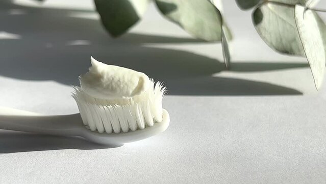 A toothbrush with toothpaste isolated on a white background in front of a sprig of eucalyptus.