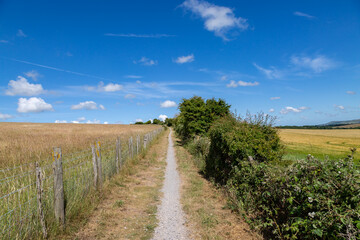 Fototapeta na wymiar A Rural Sussex View Along a Footpath, on a Hot Summer's Day
