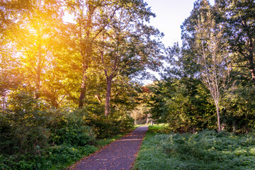 footpath in the park