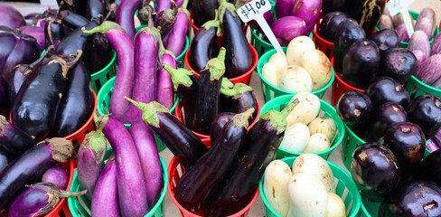 Thai eggplant, Japanese eggplants, Fairy Tale eggplants, it’s an extra bonus. This type of eggplant is as beautiful as it is delicious.