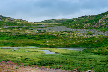 Fototapeta na wymiar Summer landscape of green polar tundra with boulders in the foreground. Northern nature in the vicinity of Teriberka (Kola Peninsula, Russia)