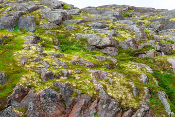 Summer landscape of green polar tundra with boulders in the foreground. Northern nature in the vicinity of Teriberka (Kola Peninsula, Russia)