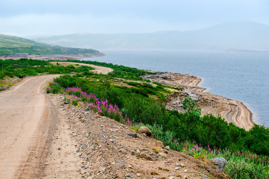 Dirt road on the coast of the Arctic Ocean. Russia
