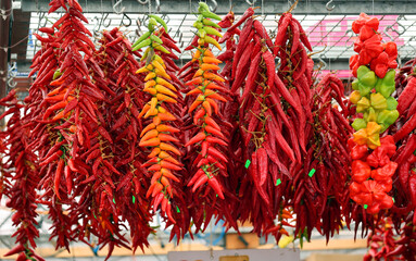 Dry peppers: Pimientos Choriceros, dry hot guindilla peppers, and Piparras-Basque green peppers hanging.