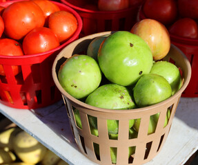 Tomatoes at the Jean-Talon Market is a farmer's market in Montreal. Located in the Little Italy district, the market is bordered by Jean-Talon Street 