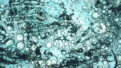 Moving Bubbles on Light Background, macro shot.