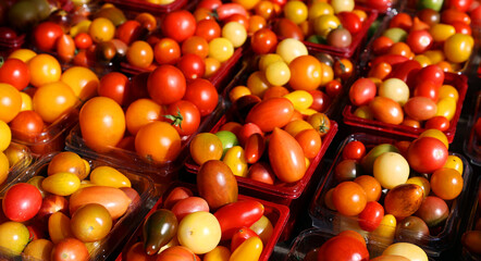 Cherries tomatoes at the Jean-Talon Market is a farmer's market in Montreal. Located in the Little Italy district, the market is bordered by Jean-Talon Street 