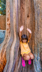 Young girl in the middle of a Sequoia tree in the forest.