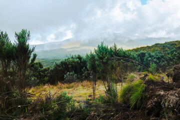 Fototapeta na wymiar Scenic view of high altitude moorland against mountains at Chogoria Route, Mount Kenya National Park, Kenya