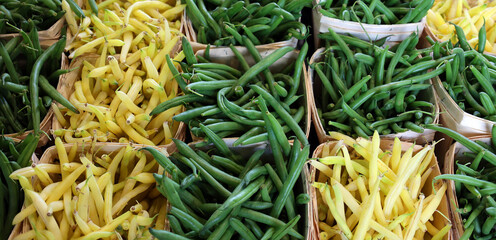 Beans are the unripe, young fruit of various cultivars of the common bean (Phaseolus vulgaris)....