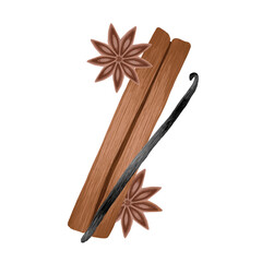 Cinnamon with anise and vanilla sticks