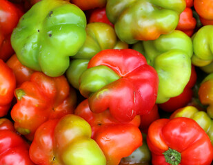Obraz na płótnie Canvas The Hot Cherry Bomb is medium heat pepper, similar to a jalapeno. These are a popular pickling peppers or enjoyed baked, grilled, or roasted. 
