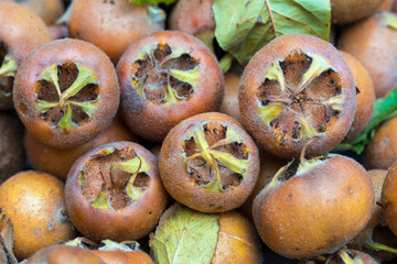 Nèfles fraîches récoltés  