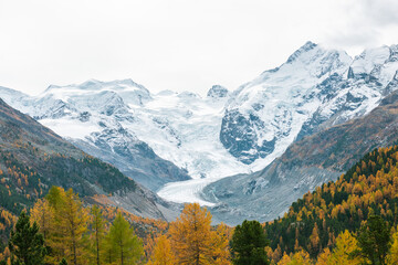 Scenic mountain landscape with a glacier and mountain slopes covered with autumn forest