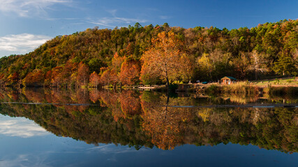 Reflection of lake during autumn