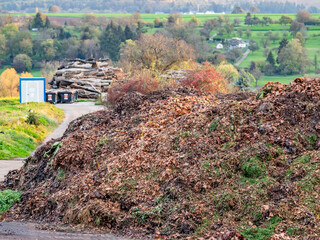 Sammelstelle f&uuml;r Gr&uuml;nabf&auml;lle im Herbst