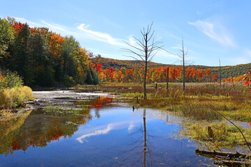 Obraz premium Fall landscape eastern townships Quebec province Canada