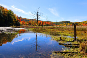 Fall landscape eastern townships Quebec province Canada