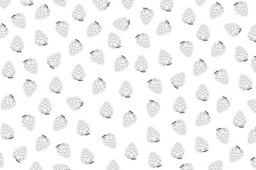 illustration pattern line of Artichoke on white background.