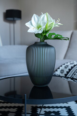Vase with white flowers  in grey  modern living room interior.  Contemporary elegant cozy home concept.